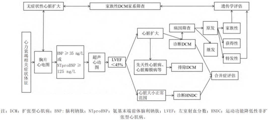 圖1 擴(kuò)張型心肌病診斷流程圖