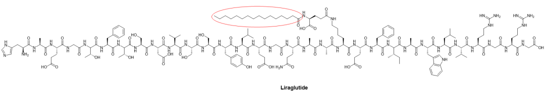 部分脂肪修饰的多肽药物化学结构（红色椭圆区域为脂肪修饰结构）