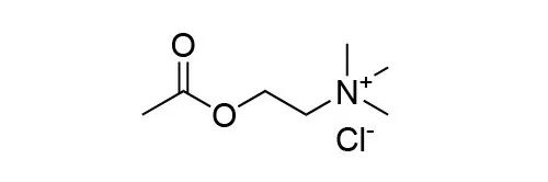 图3. 乙酰胆碱（acetylcholine）化学结构