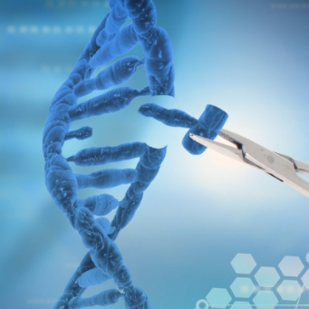 第一款CRISPR基因编辑疗法获批，国内进展几何？