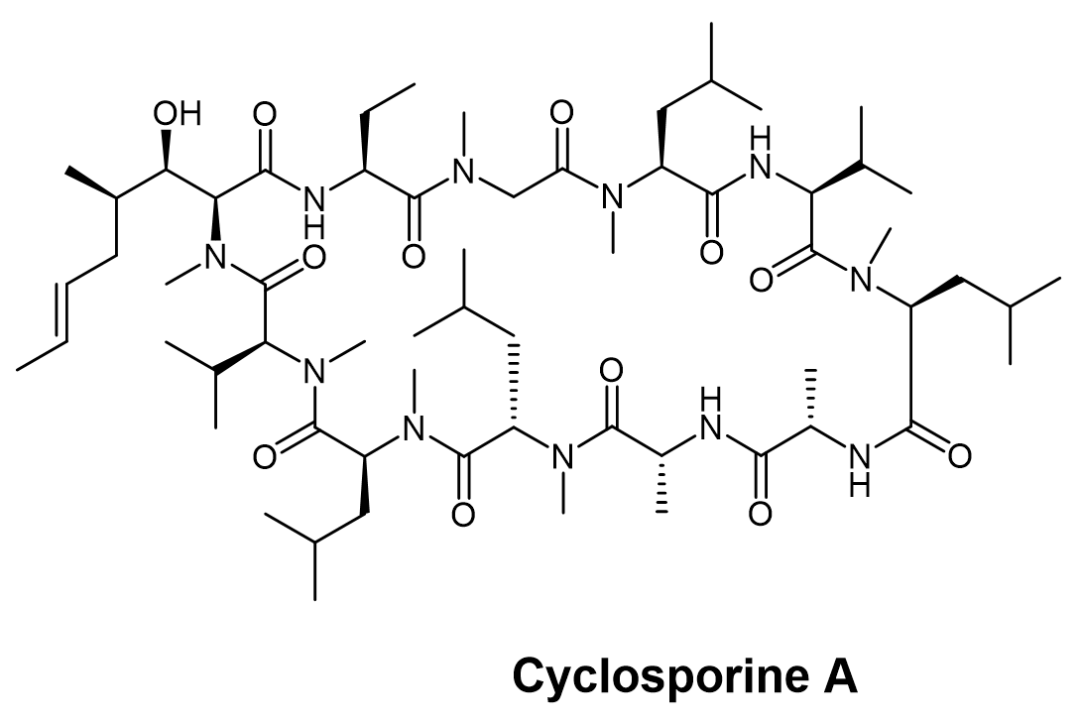 图1. Cyclosporine A化学结构