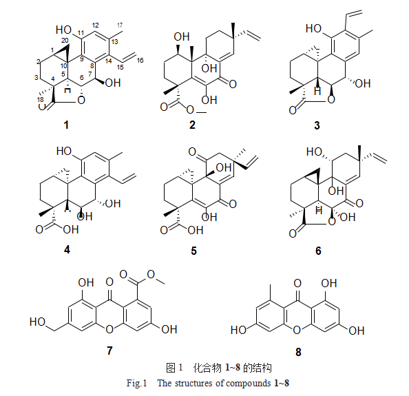 《中国海洋药物》