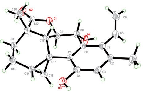 图2 化合物1的晶体结构图
