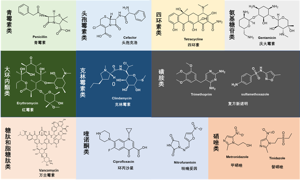 图2. 常见抗生素类型与代表化学结构