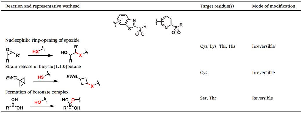 表1 应变分子，硼酸类共价靶头