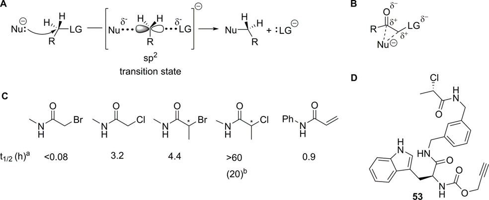 图5 作为靶头的卤代烷烃 (A) SN2反应的一般机制 (B) 使得α-卤代羰基化合物反应性增强的双吸模型 (C) α-卤代丙酸和乙酰胺在GSH测定中的反应性。半衰期是在pH 7.4和37 °Ca或60 °Cb下10 mM GSH时测定的。显示N-苯基丙烯酰胺以供比较。(D) 2-氯丙酰胺 (S)-53，一种共价PDIA1抑制剂。