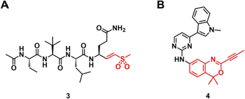 图3 (A) 以乙烯基砜为靶头的SARS-CoV-2主蛋白酶不可逆共价抑制剂。(B) 具有炔基苯并恶嗪亲电子试剂的共价JAK3抑制剂。亲电性靶头以红色突出显示。