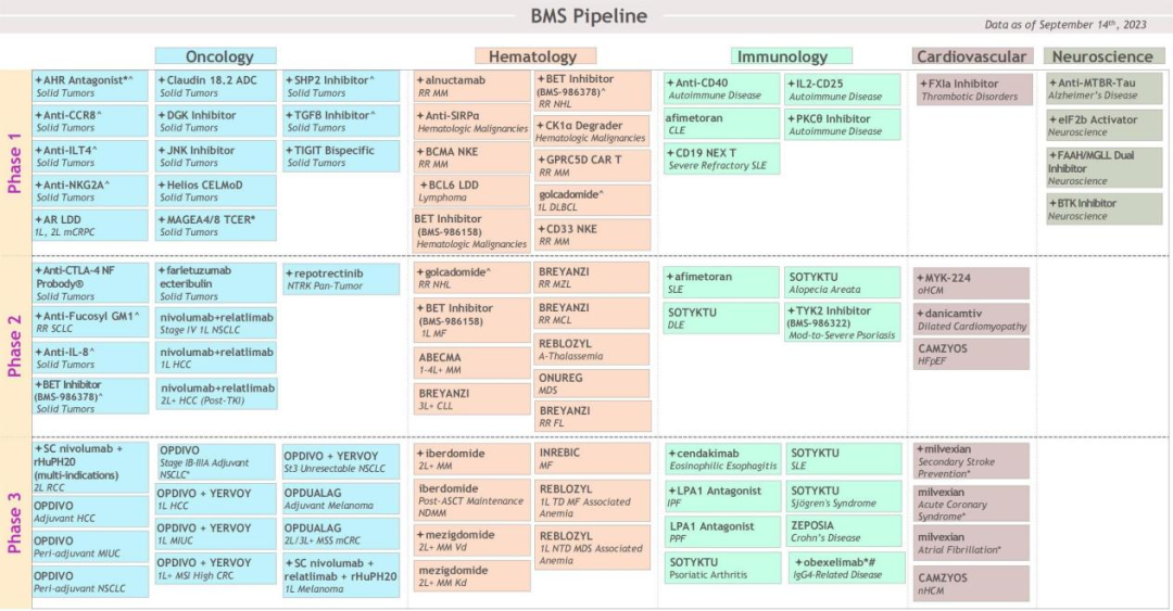 图8 BMS研发布局管线