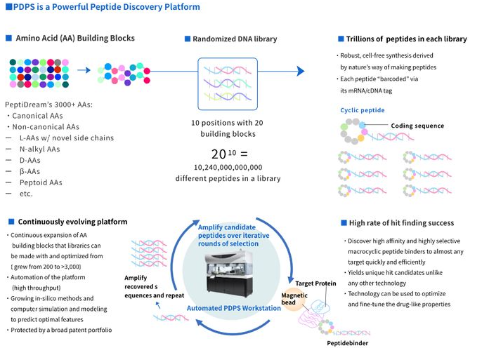 图：PeptiDream的PDPS肽发现平台
