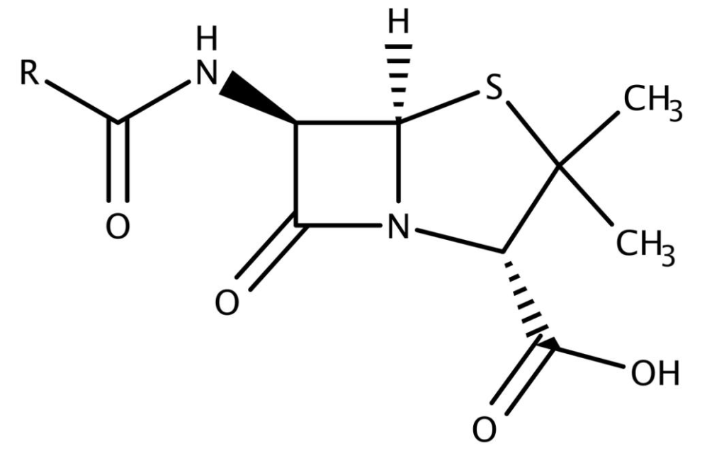 青霉素結(jié)構(gòu)式