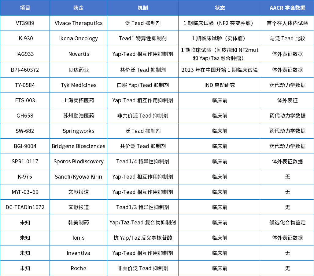 TEAD抑制剂全球药企在研情况