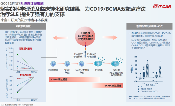 与CD19单靶点CAR-T疗法相比，GC012F的CD19/BCMA双靶点设计，能更高效地清除产生自身抗体的B细胞和浆细胞