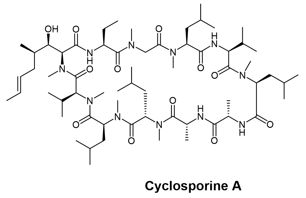 Cyclosporine A化学结构