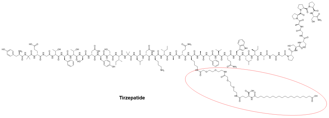 脂化多肽司美格鲁肽与替尔泊肽化学结构