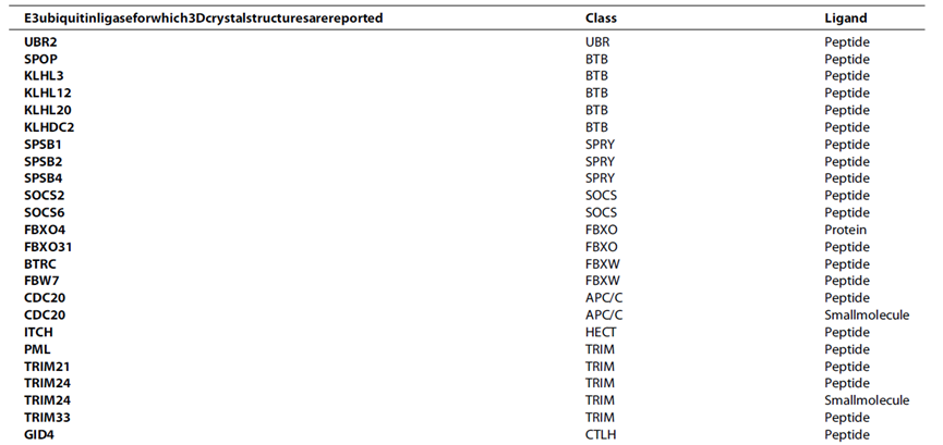 尚未探索用于PROTAC应用的E3泛素连接酶列表