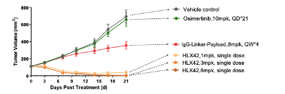 在奥希替尼的耐药模型中，HLX42展现了良好的治疗效果