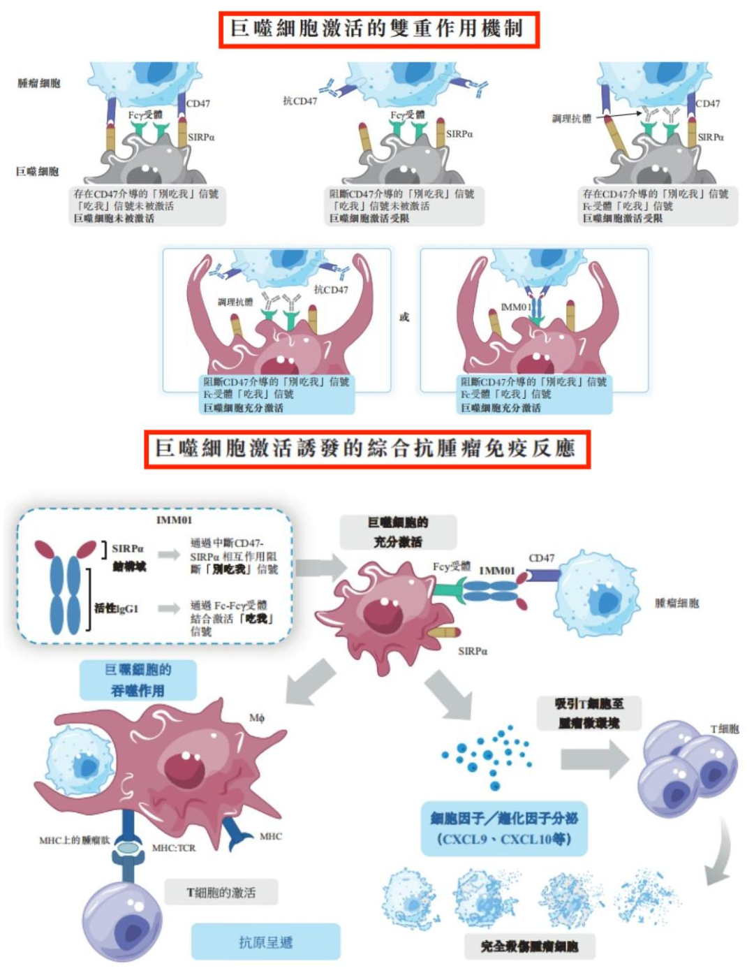 巨噬细胞激活的双重作用机制