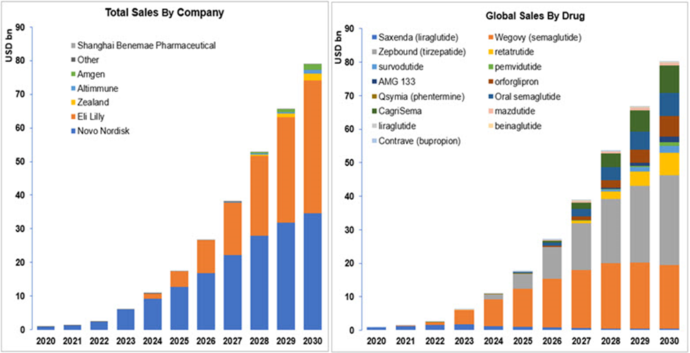  Bloomberg预计2030年减肥药市场规模（按公司以及减肥药）