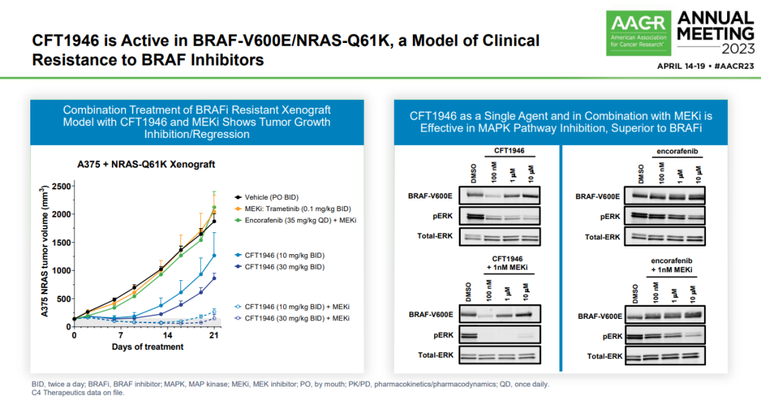 CFT1946在BRAF-V600E/NRAS-Q61K肿瘤模型中的活性
