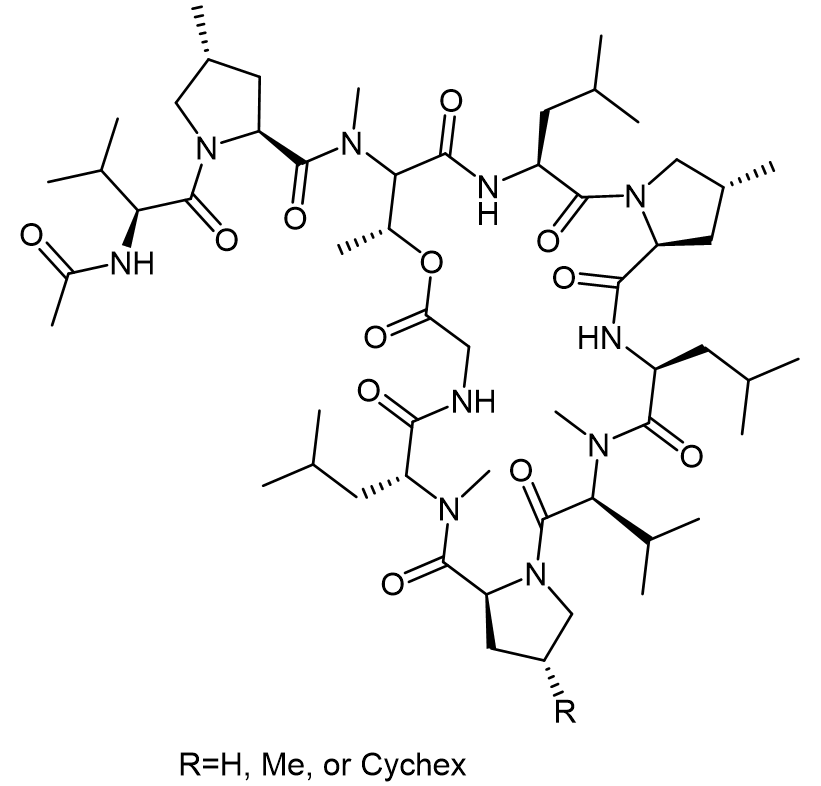 Griselimycin衍生物化学结构