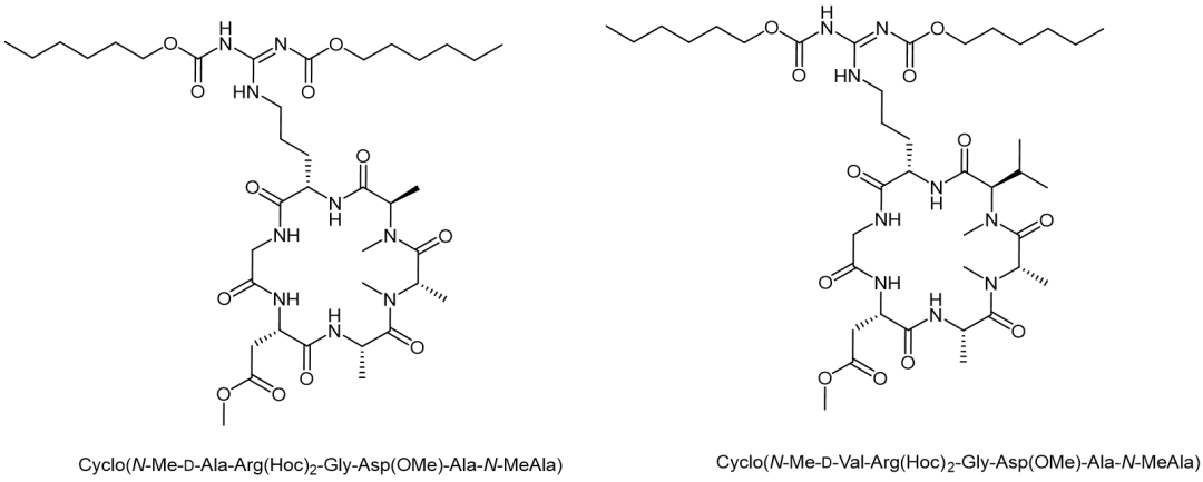 Cyclo(N-Me-D-Ala-Arg(Hoc)2-Gly-Asp(OMe)-Ala-N-MeAla) （左）和 Cyclo(N-Me-D-Val-Arg(Hoc)2-Gly-Asp(OMe)-Ala-N-MeAla) （右）化学结构