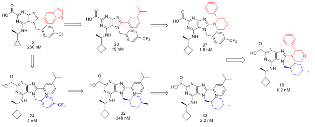 hit的优化过程及2和HDM2蛋白的共晶 (PDB 7NA1)