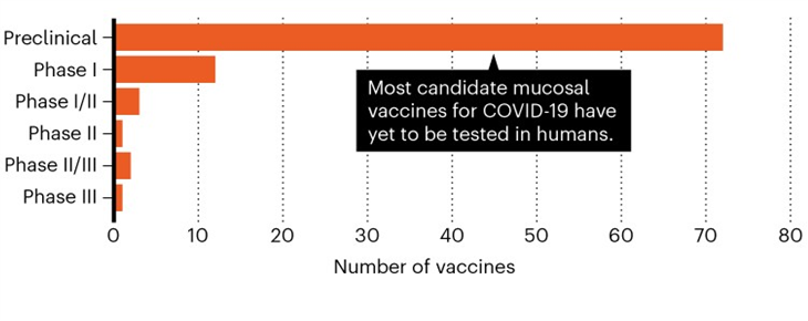 粘膜COVID-19疫苗开发阶段分布图