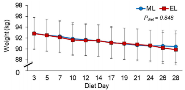 当EI得到控制时，ML和EL减肥饮食导致相似的体重减轻