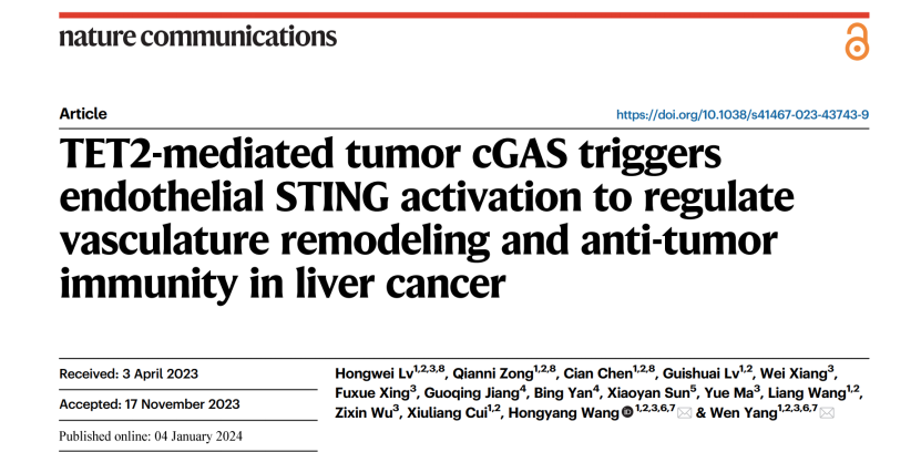 近日，由上海第二军医大学等多家院校联合完成的一项重大的癌症研究为维生素C在肝癌治疗中的潜在作用揭开神秘的面纱。