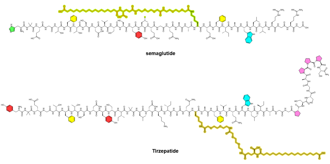 Semaglutide与Tirzepatide化学结构