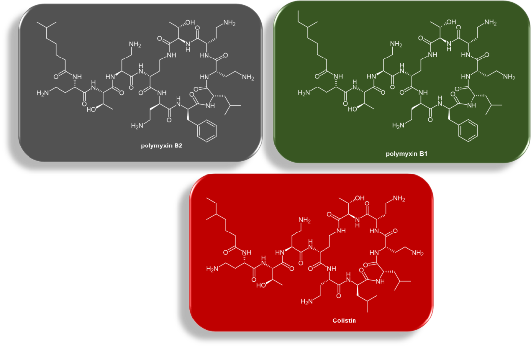 多肽抗生素多粘菌素：多粘菌素B1，多粘菌素 B2，多粘菌素E（colistin）化學(xué)結(jié)構(gòu)