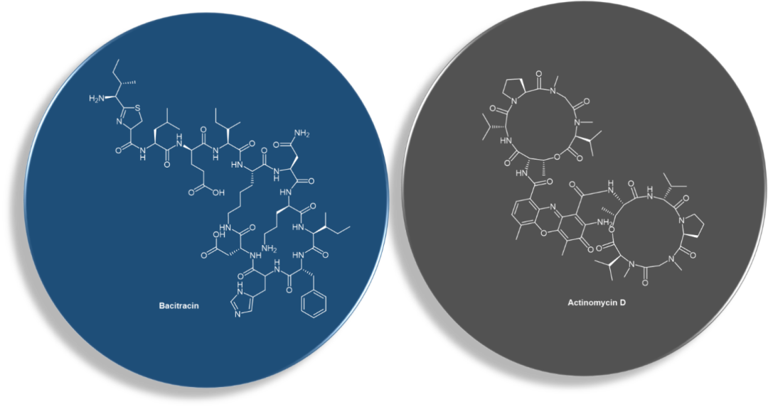 多肽抗生素放线菌素-D (actinomycin D) 和杆菌肽 (bacitracin) 化学结构。