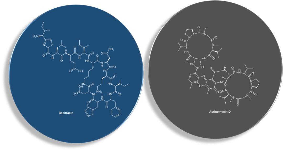 多肽抗生素放線菌素-D (actinomycin D) 和桿菌肽 (bacitracin) 化學(xué)結(jié)構(gòu)。