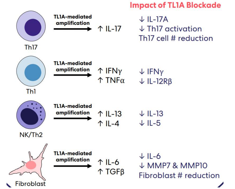 TL1A阻断的作用机制