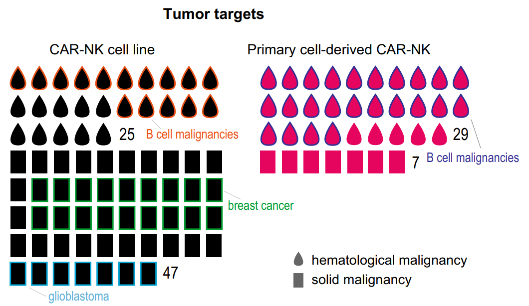 在研究的靶标方面，Her2是实体瘤最常用的靶点，而CD19抗原在血液肿瘤中最常见。