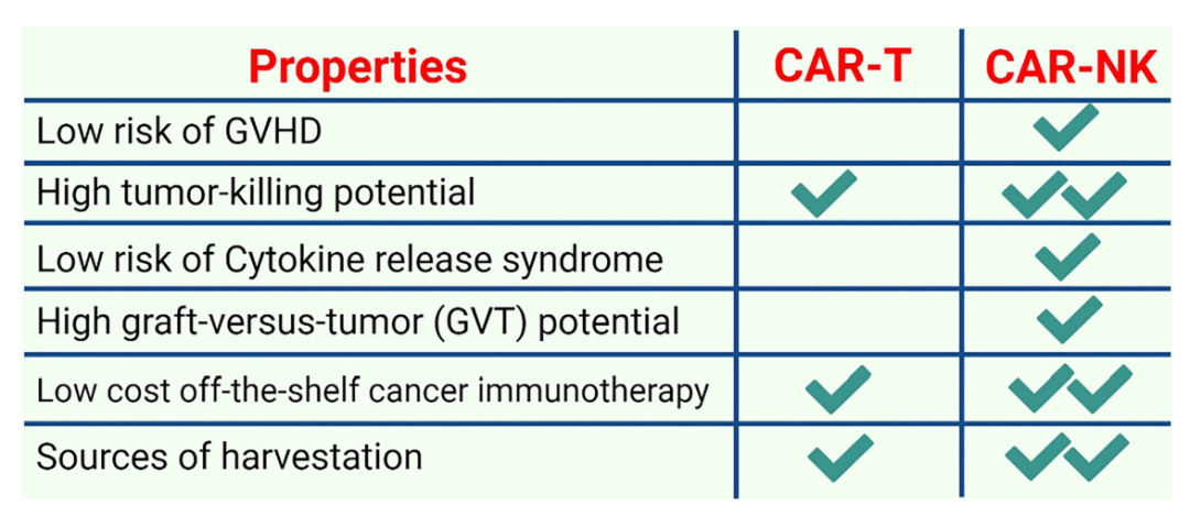 CAR-NK细胞和CAR-T细胞一样存在胞外、跨膜和胞内信号传导域。