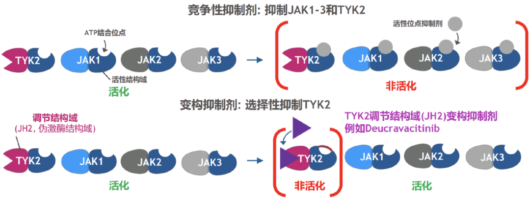 通過構(gòu)象優(yōu)化，VTX958的選擇性比Sotyktu高得多，卻未能通過II期臨床的檢驗(yàn)。