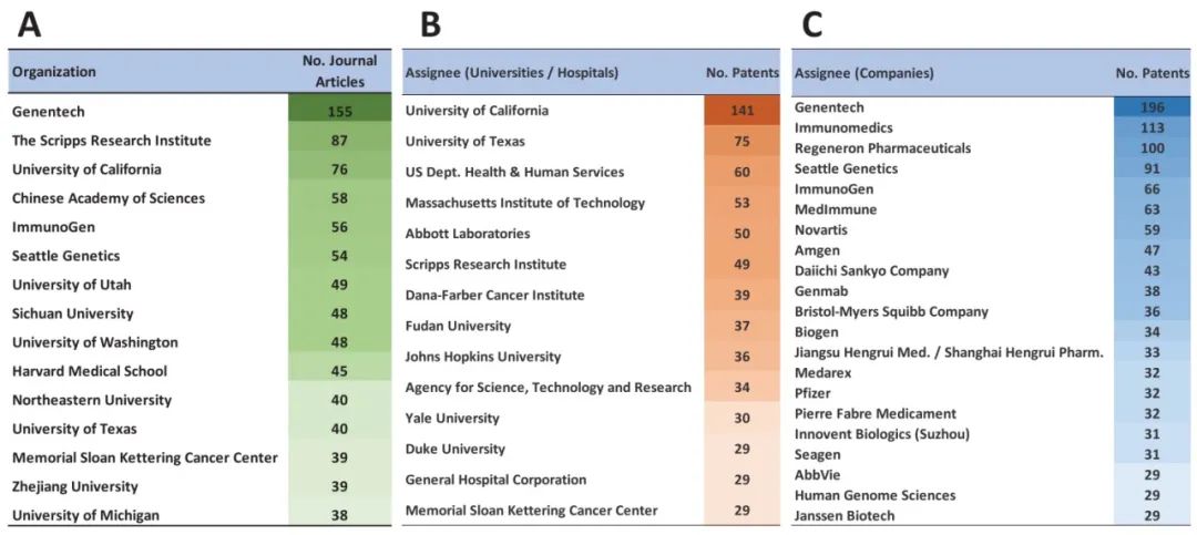 （A）发表ADC相关期刊文章数量的组织排名，来自大学/医院（B）以及公司（C）的专利数量排名