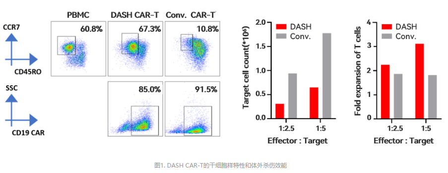 恒润达生的DASH CAR-T技术，能在48小时完成产品制备，且具有高度细胞扩增能力及肿瘤杀伤能力