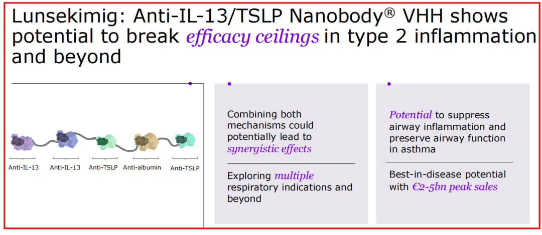 相关研究显示，同时抑制IL-13和TSLP两条信号通路可能产生协同作用，产生更强的疗效。Lunsekimig是一款将靶向IL-13和靶向TSLP的重链可变区（VHH）连接在一起的纳米抗体，目前已进入临床Ⅱ期研究。