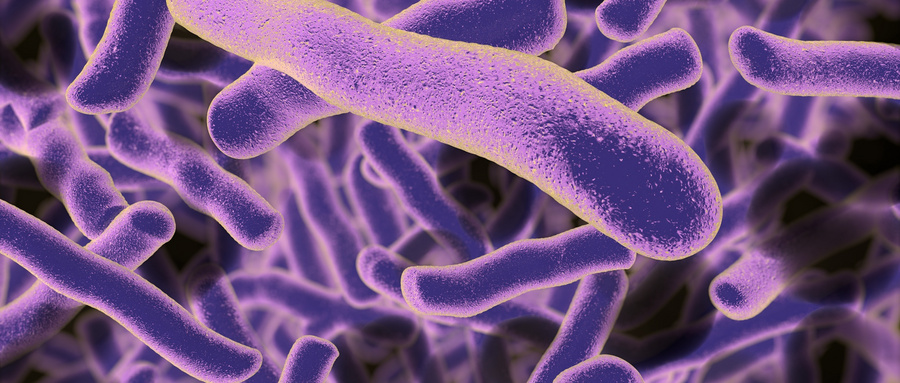 白念珠菌感染常用抗真菌药物及其耐药机制研究进展