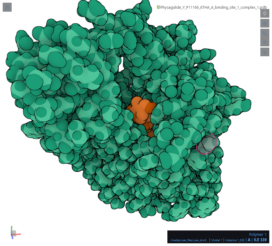 NPAI天然产物AI研发平台分子对接3D图（Physagulide Y与GLUT1）