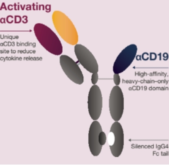 阿斯利康CD19/CD3双抗批准临床，国内研发进展几何？