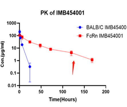 通过与HSA结合提高CD3双特异抗体药物在FcRn/Albumin双人源化小鼠体体内药物动力学