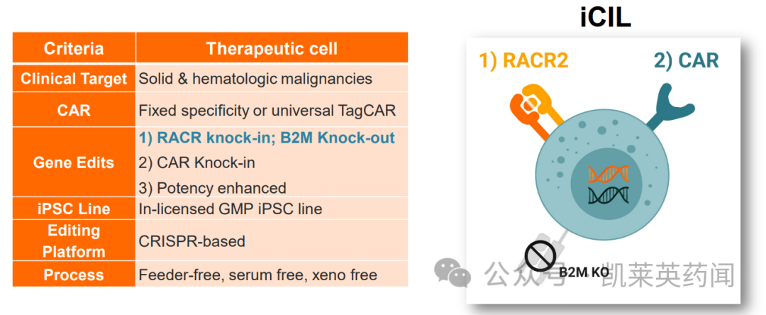 RACR 诱导的细胞毒性淋巴细胞 （iCIL）