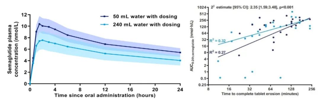 不同饮水量以及片剂溶蚀速度对司美格鲁肽的生物利用度的影响