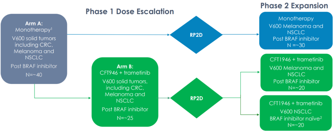 CFT1946：是BRAF V600X突变体的选择性蛋白降解药物，专门针对V600X 突变的黑色素瘤、非小细胞肺癌（NSCLC）、结直肠癌等实体瘤，预计将于2022年下半年提交IND申请，并开始1期试验。