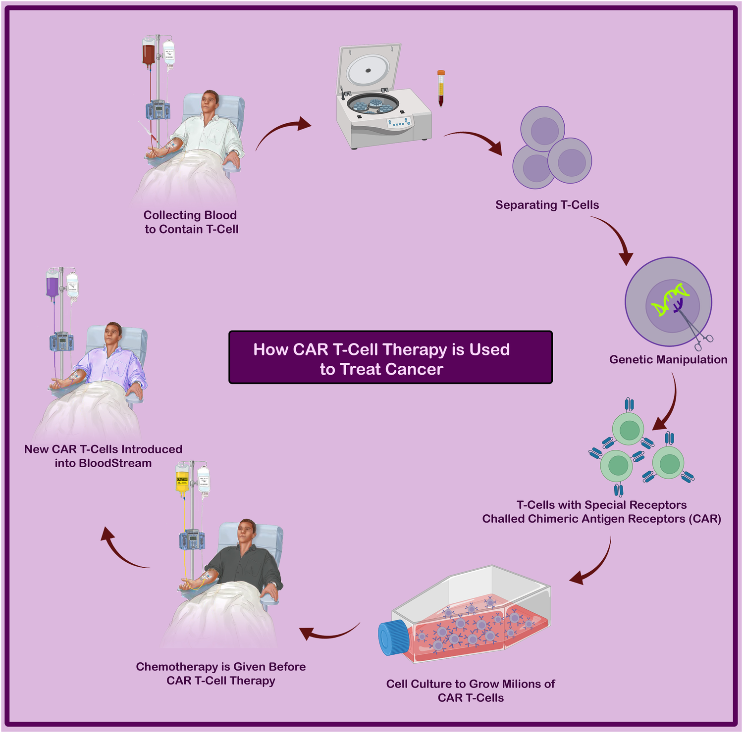 修饰后的 T 细胞经过增殖后，会被输回患者体内，以靶向并消灭癌细胞（图 2）。