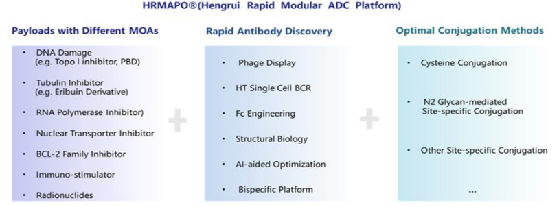图2恒瑞ADC技术平台——HRMAPO