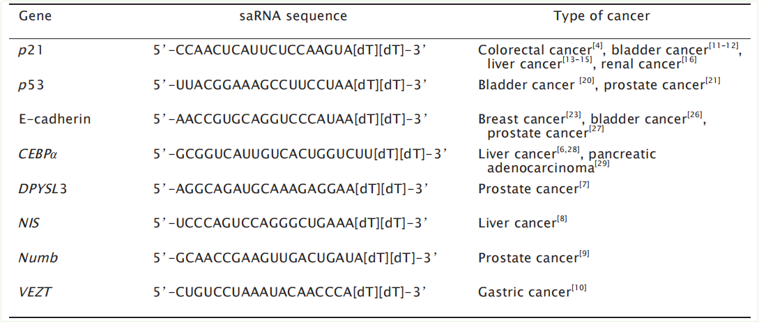图2特异性上调抑癌基因表达的saRNA序列